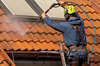 Démoussage et hydrofuge de toiture à Lambach